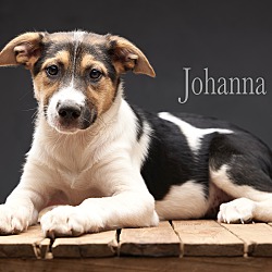 Photo of Johanna