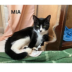 Thumbnail photo of Mia #2