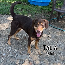 Thumbnail photo of Talia #4