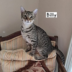 Thumbnail photo of Billy #1