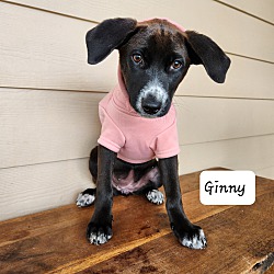 Photo of Ginny