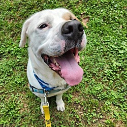 Photo of Buddy