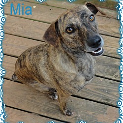 Thumbnail photo of Mia #1