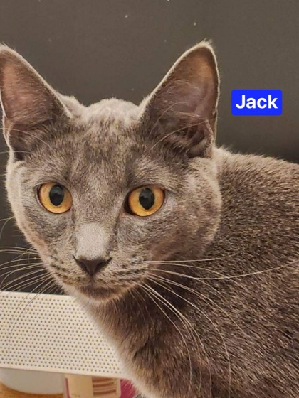 Thumbnail photo of Jack #1