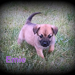 Thumbnail photo of Emie #2