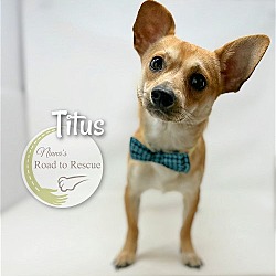 Thumbnail photo of Titus #2