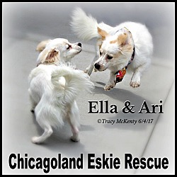 Thumbnail photo of Ari & Ella #3