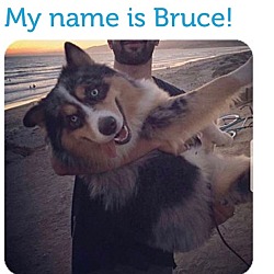 Photo of Bruce