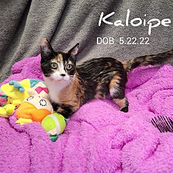 Photo of Kaliope
