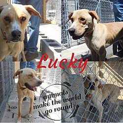 Thumbnail photo of Lucky meet me 2/17 #1