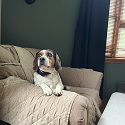 Photo of Buster