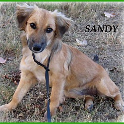 Thumbnail photo of Sandy-An Absolute Doll #2