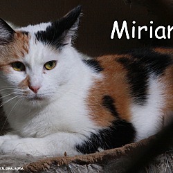 Thumbnail photo of Miriam #2
