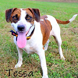 Thumbnail photo of Tessa ~ meet me! #2