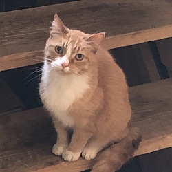 Photo of Lucky