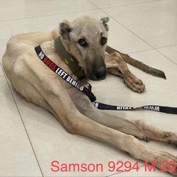 Thumbnail photo of Samson 9294 #3