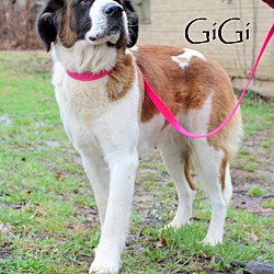 Thumbnail photo of Gigi Hadid~adopted! #3