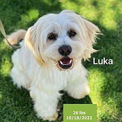 Photo of Luka