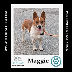 Thumbnail photo of Maggie 081724 #2