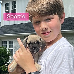 Thumbnail photo of Soozie #2