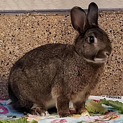 Photo of Holly