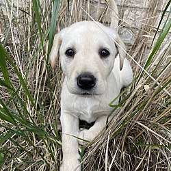 Photo of Tinker Bell