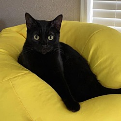 Photo of Rory