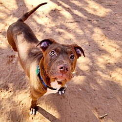 Photo of Zap