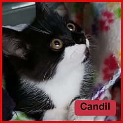 Photo of Candil