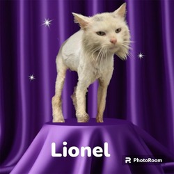 Photo of *LIONEL