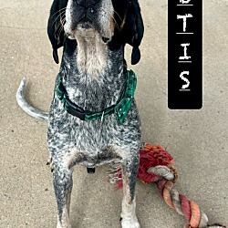 Thumbnail photo of Otis #1