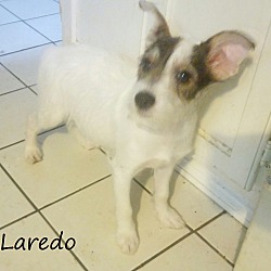 Thumbnail photo of Laredo #1