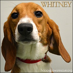 Photo of Whitney