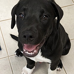 Photo of Jude