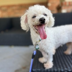 Photo of Daisy Marigold