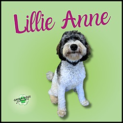 Photo of Lillie Anne