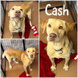 Photo of Cash