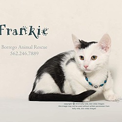 Photo of FRANKIE