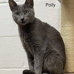 Thumbnail photo of Polly #4