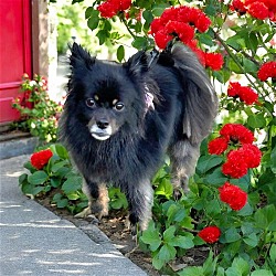 Photo of FRANKIE CUBBY BEAR