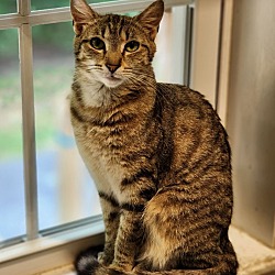 Photo of Sabrina