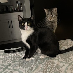 Photo of Elliott and Dash