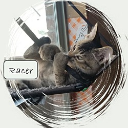 Thumbnail photo of Racer #1