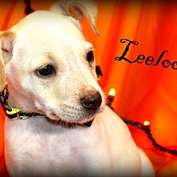 Thumbnail photo of Leelo ~ meet me! #4