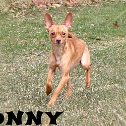 Thumbnail photo of Sonny #3
