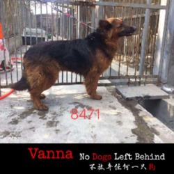 Thumbnail photo of Vanna 8471 #1