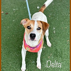 Thumbnail photo of DELTA #2