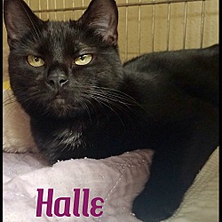 Thumbnail photo of Halle #1