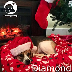 Thumbnail photo of Diamond #1
