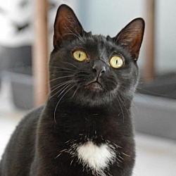 Photo of Boo
